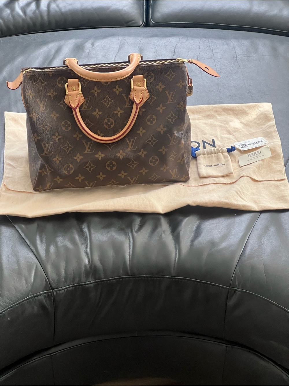 Louis Vuitton Monogram speedy 30